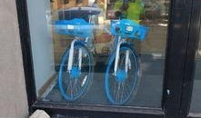 长春自行车爆料视频最新,揭秘城市交通新现象